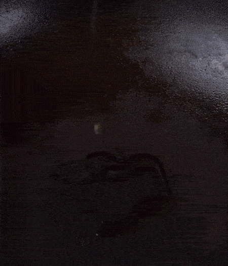 冷鍋熱油，下蒜片爆香，下香腸、玉米筍、蓮藕、西芹爆炒，期間加點水，翻炒1分鐘后加新鮮百合片，翻炒30秒。