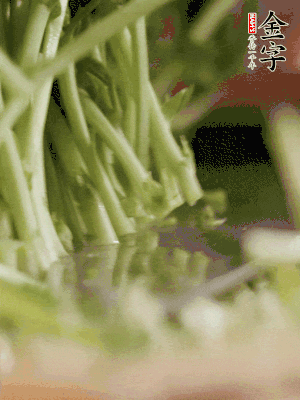 新鮮豌豆苗割下洗凈。